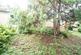 DSC06702a.jpg