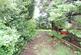 DSC06701a.jpg