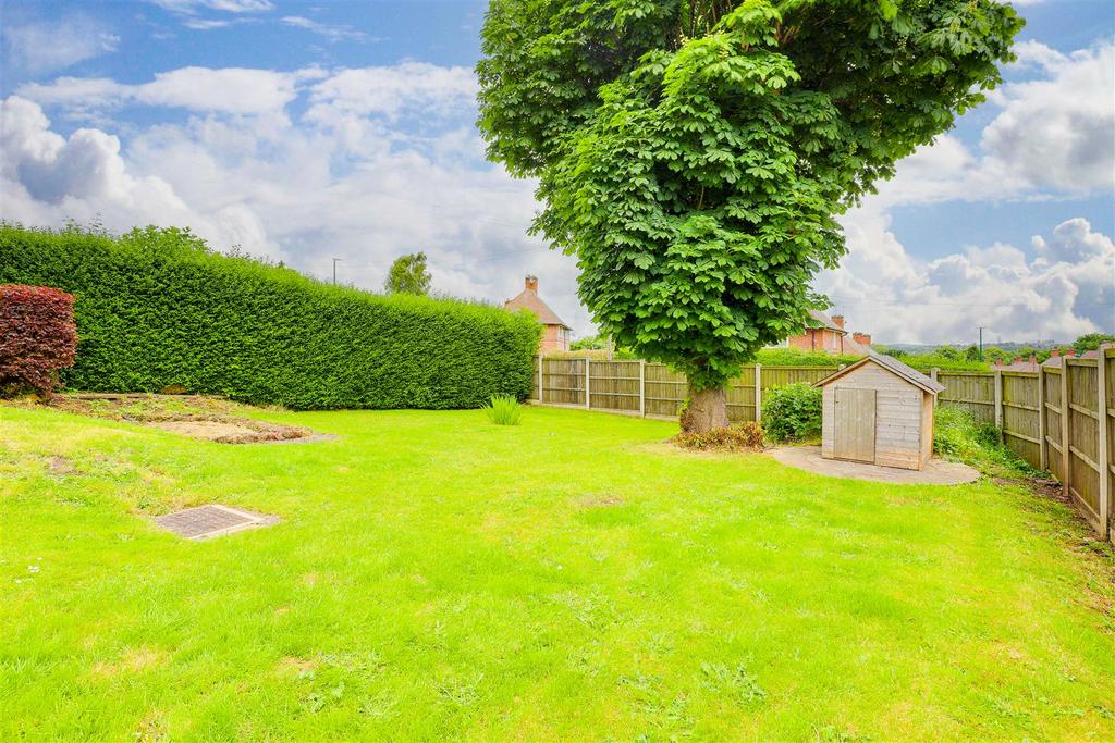 23233.jpg