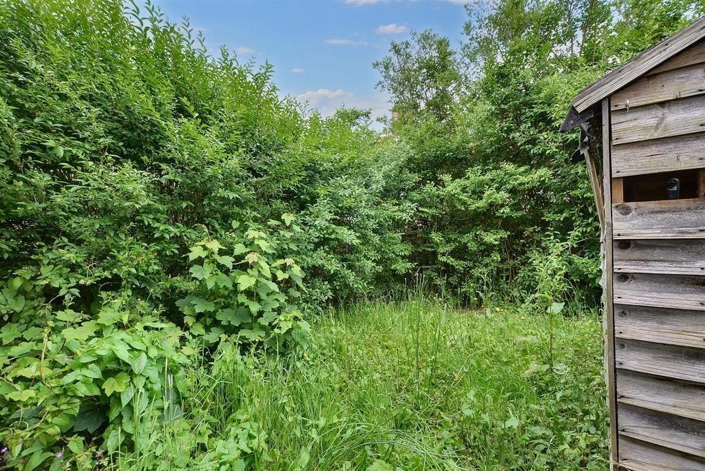 Garden 1.jpeg