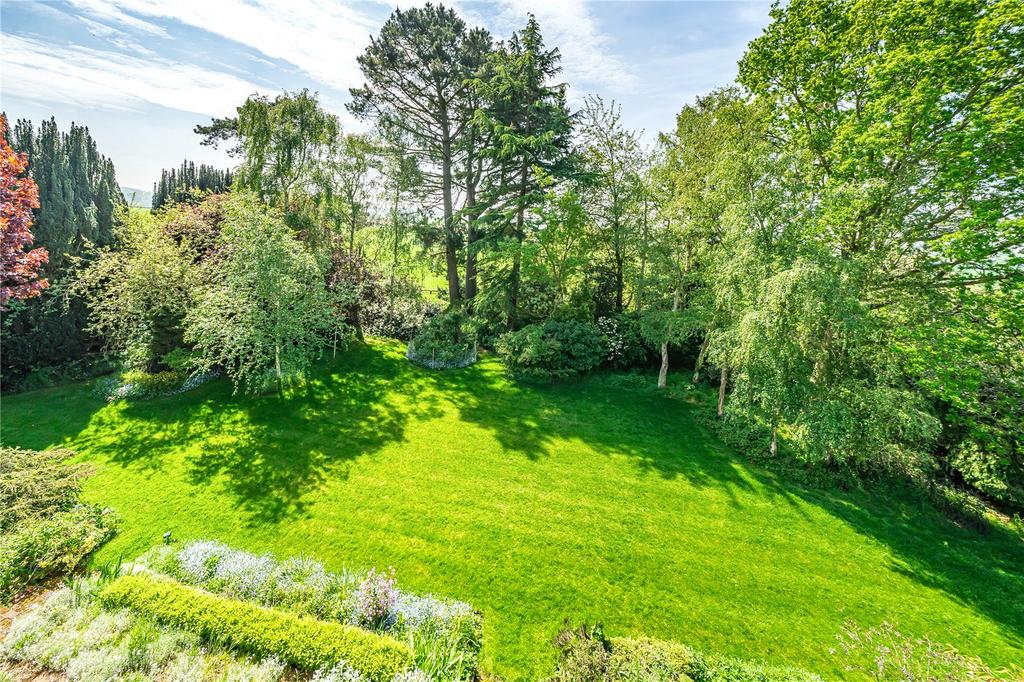 Rear Lawn