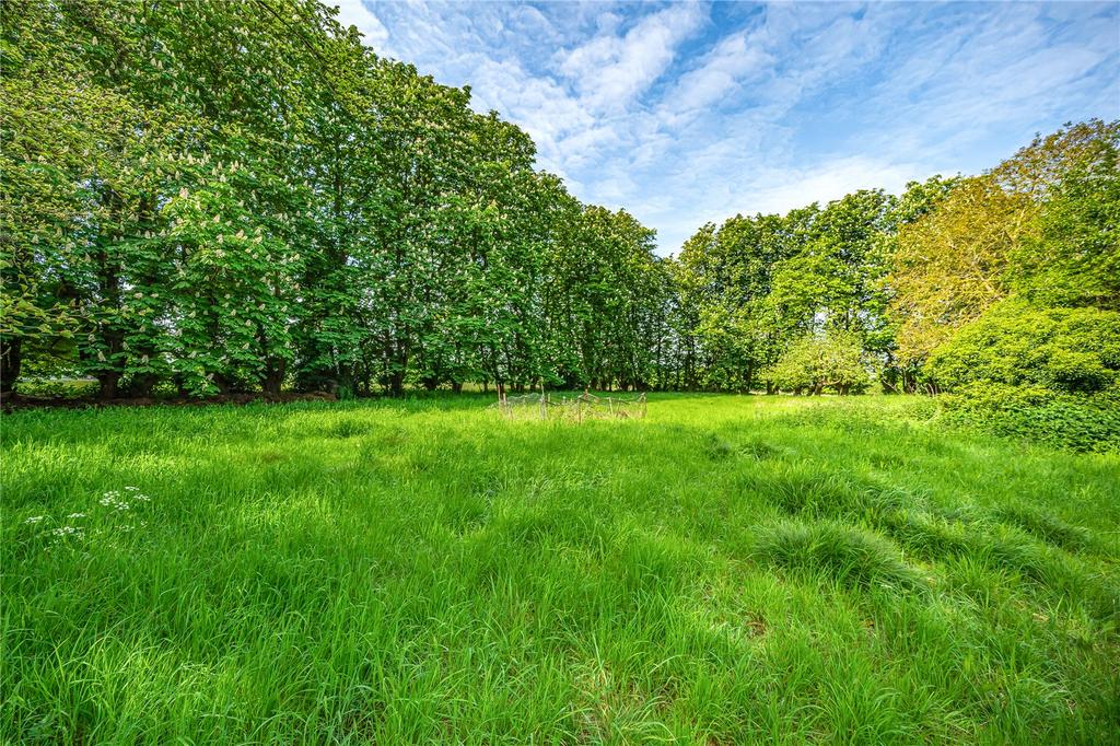 Meadow