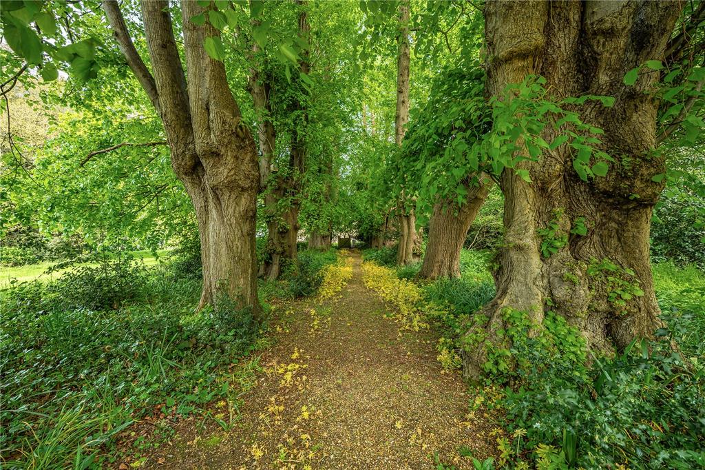 Lime Avenue