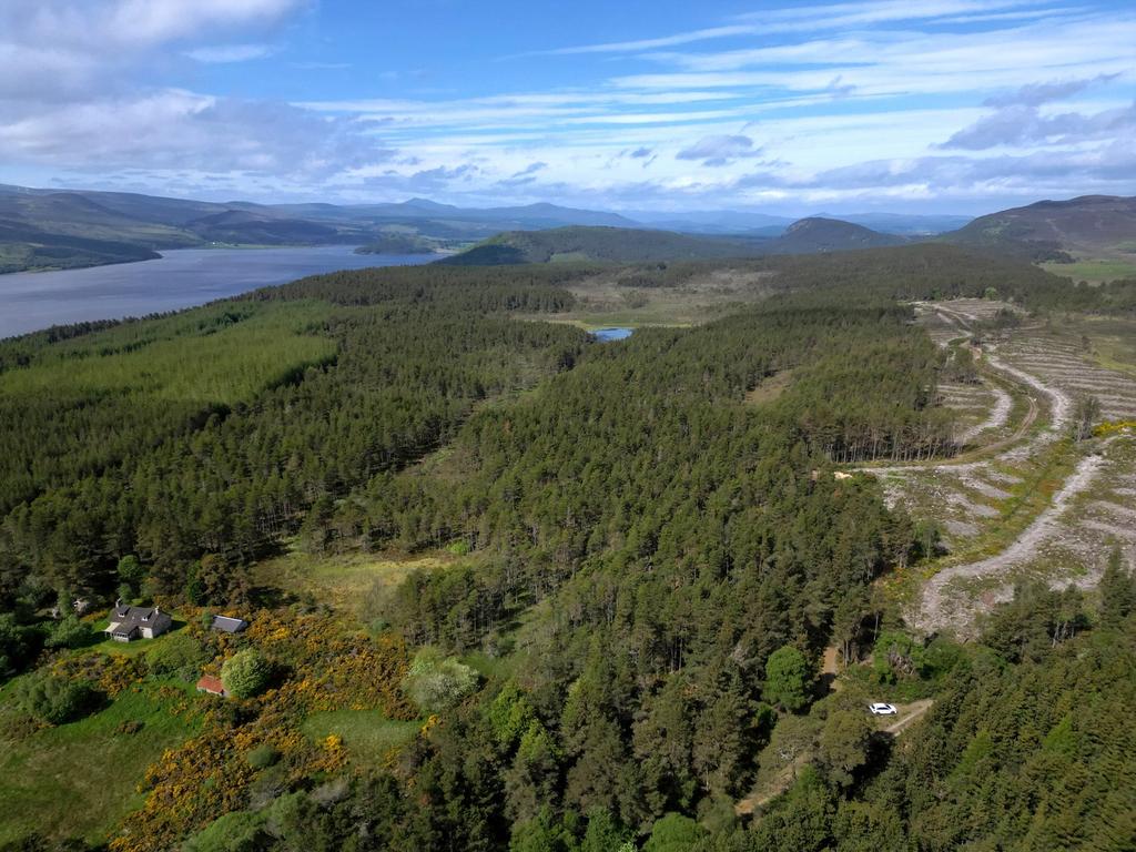 Loch Saine and Woodland, Dornoch... Land for sale £90,000