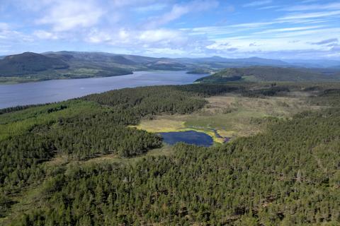 Land for sale, Loch Saine and Woodland, Dornoch, Sutherland, IV25