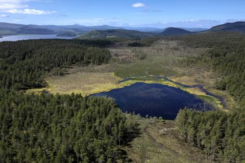 Land for sale, Loch Saine and Woodland, Dornoch, Sutherland, IV25