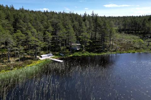 Land for sale, Loch Saine and Woodland, Dornoch, Sutherland, IV25