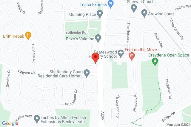 Google Maps Image