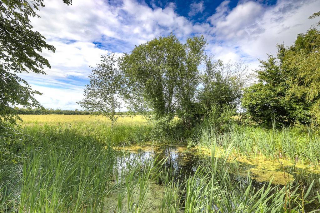 Pond