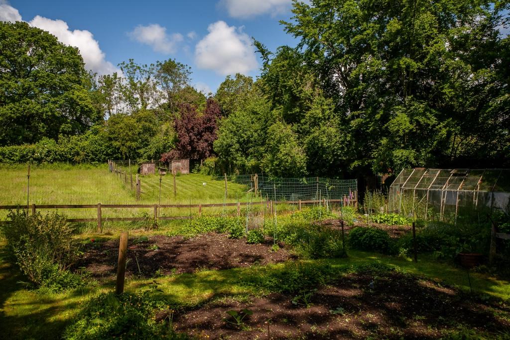 Vegetable Garden