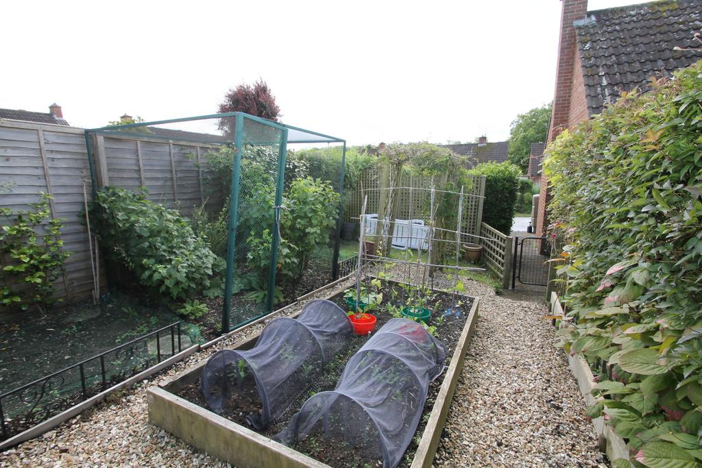 Vegetable patch