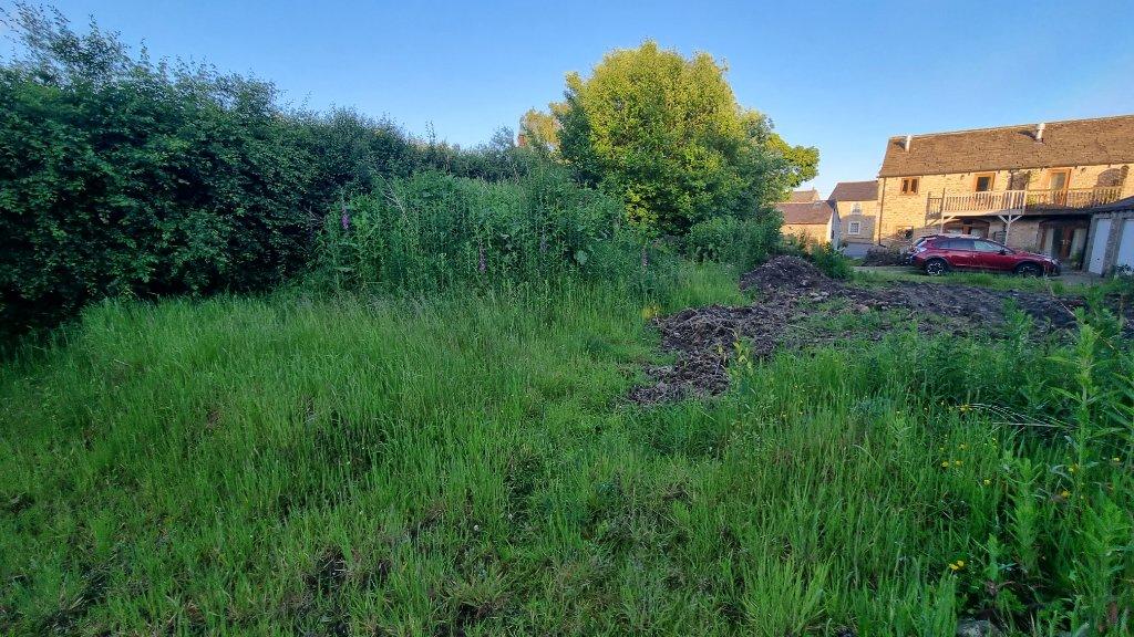 Site