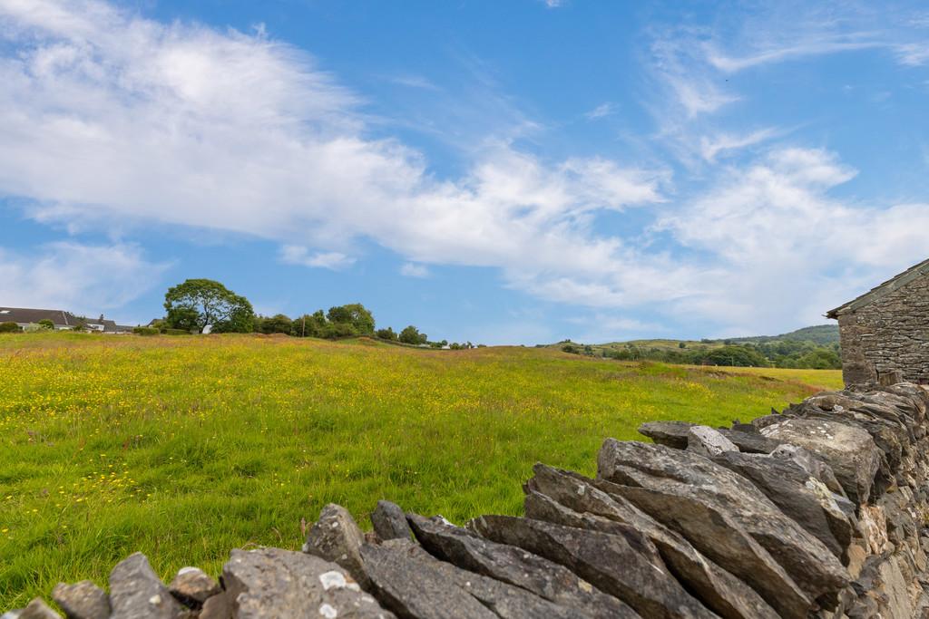 Views of Buttercup Fields