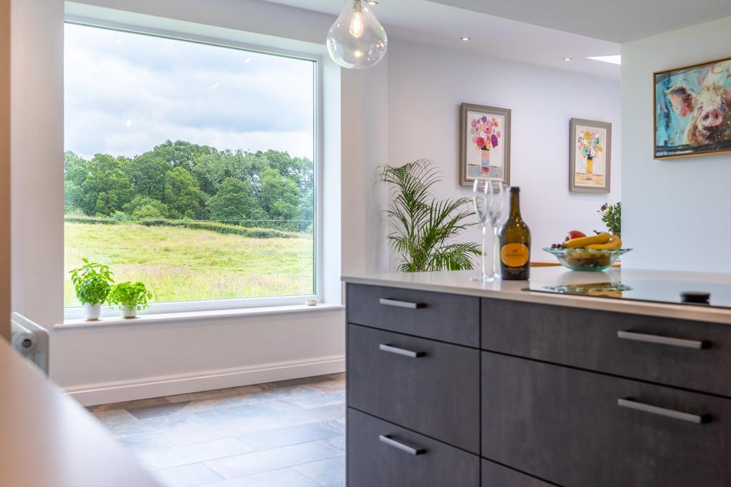 Modern Dining Kitchen