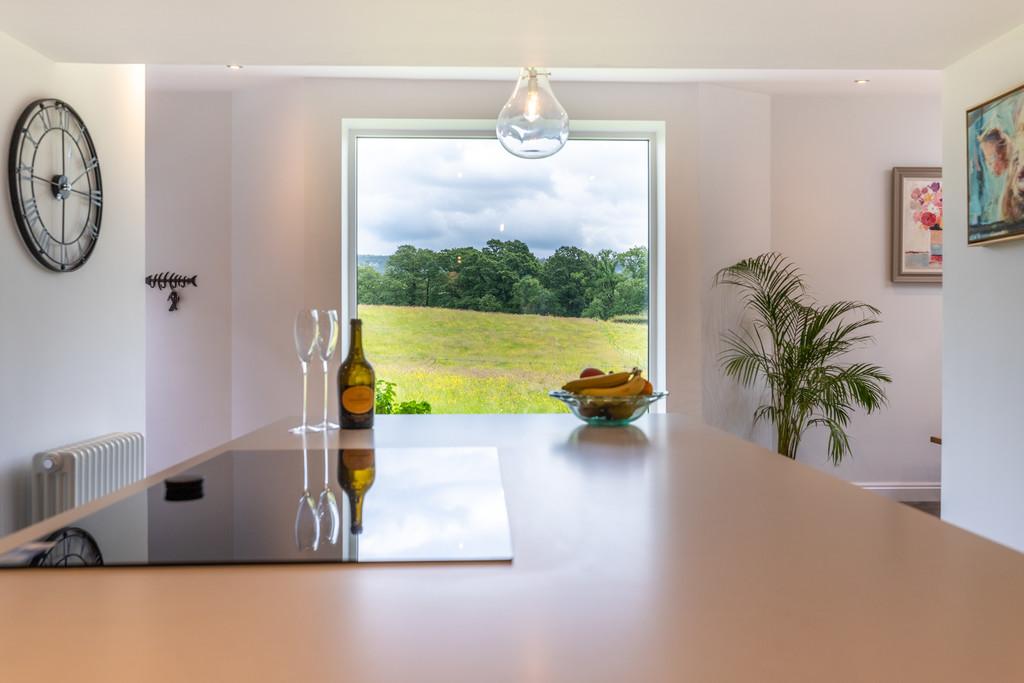 Modern Dining Kitchen