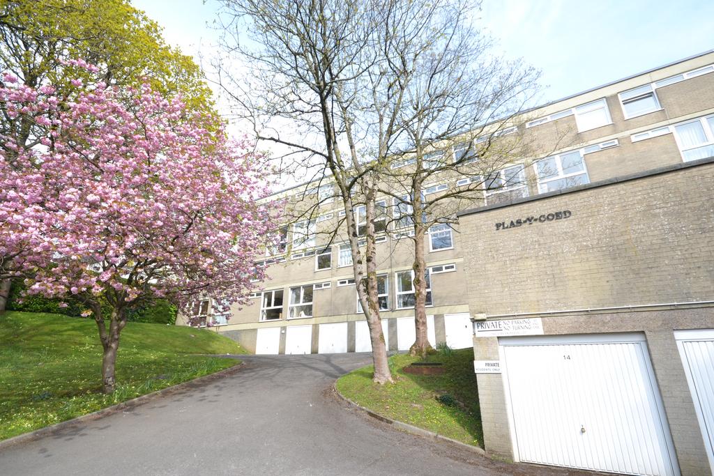Plas Y Coed, Lake Road East, Cardiff 2 bed £975 pcm (£225 pw)