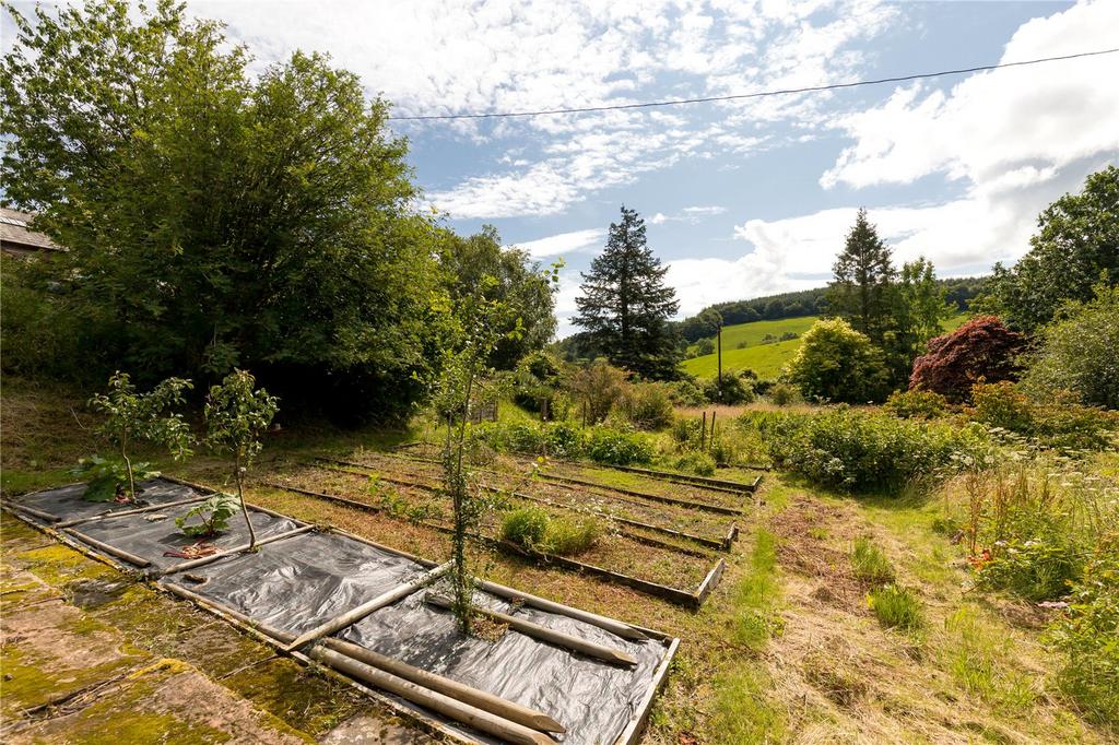 Grounds
