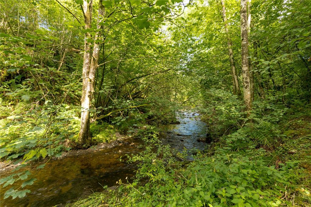 Grounds