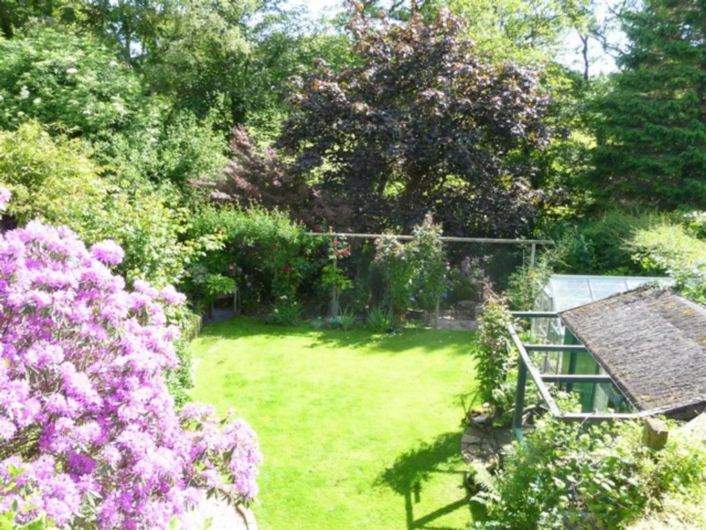 Garden view from balcony