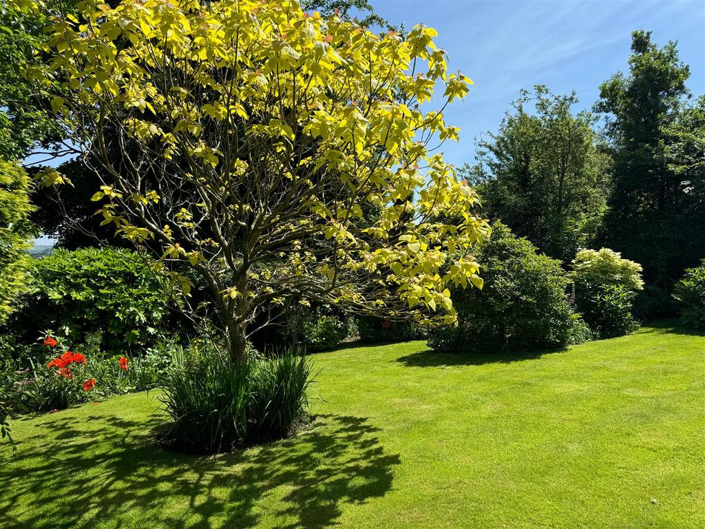 Secret Garden 3.jpg