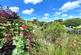 Freathy, Cornwall PL10 photo 3