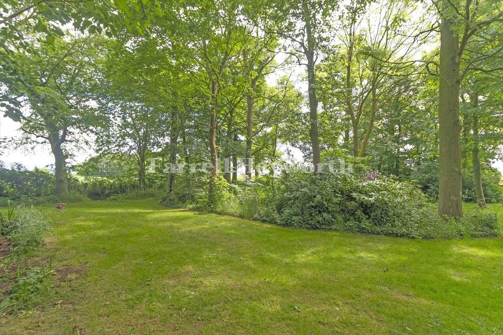 Woodland view 2