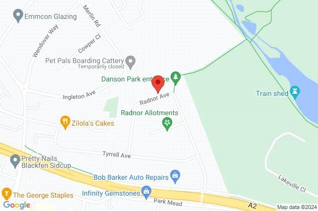 Google Maps Image