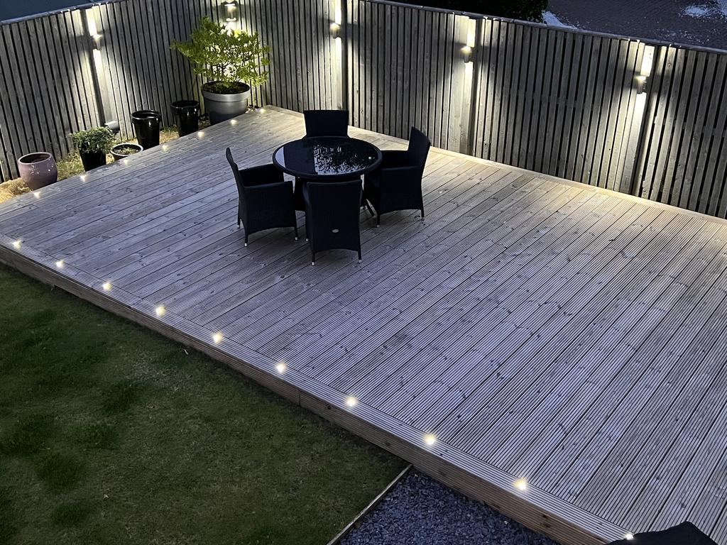 Garden at Night