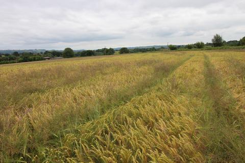 Land for sale, Whatmore, Nash, South Shropshire, SY8 3AY