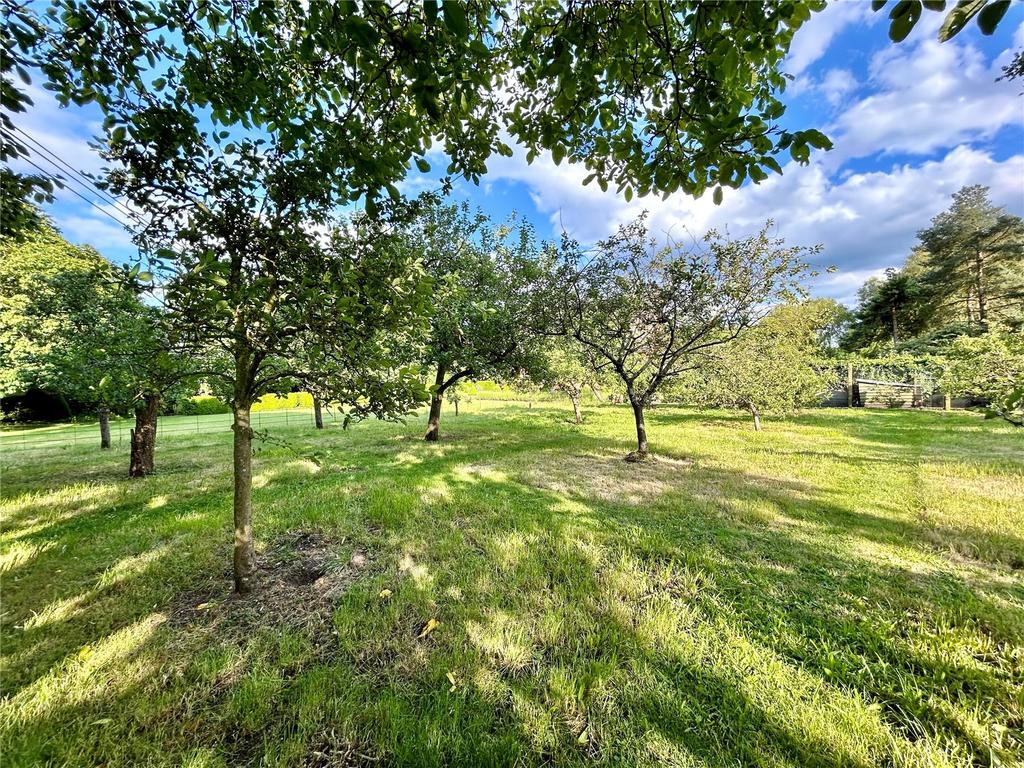 Orchard