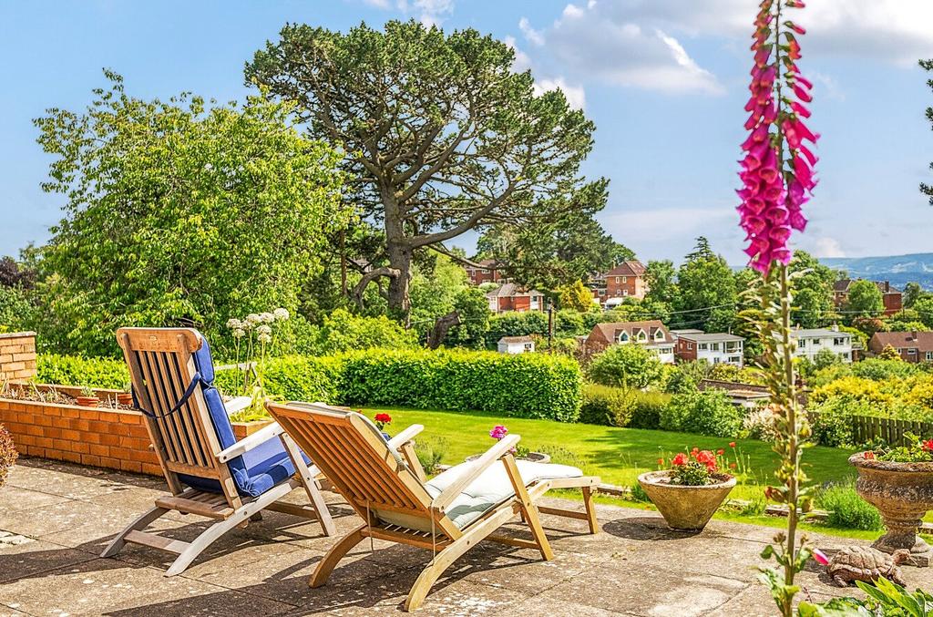 Terrace Views