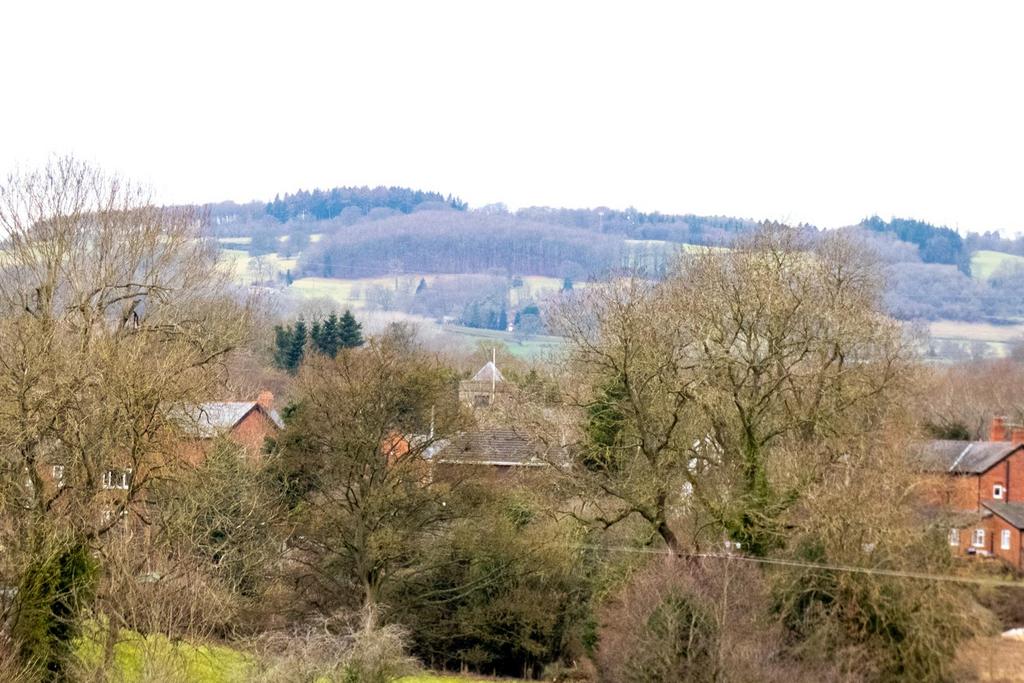 P1090026.jpg