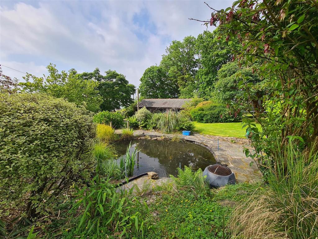 Pond