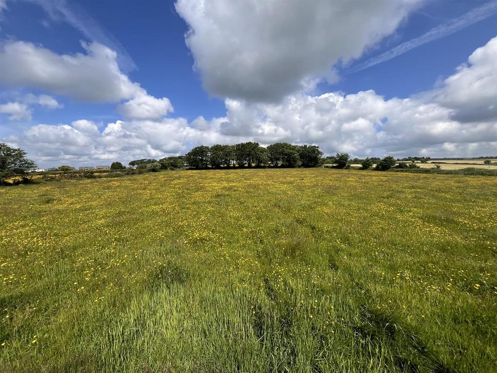 The land