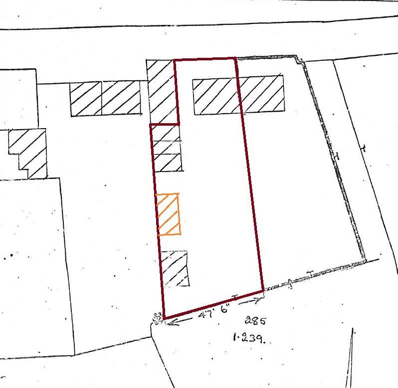 Plan (approx. knotweed area in orange)