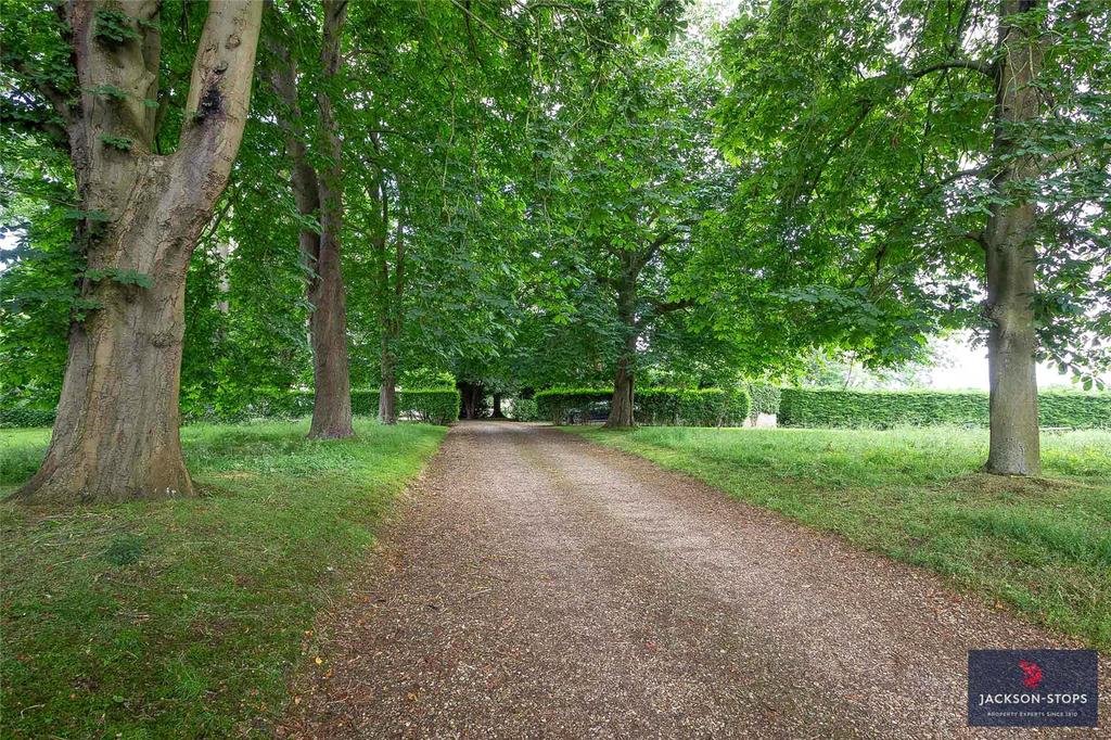 Avenue