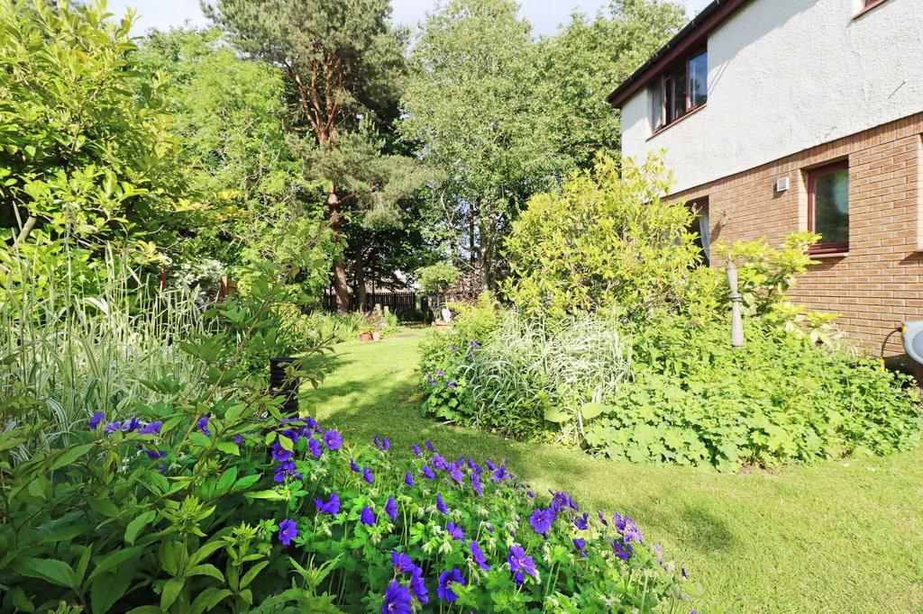 Rear of Property