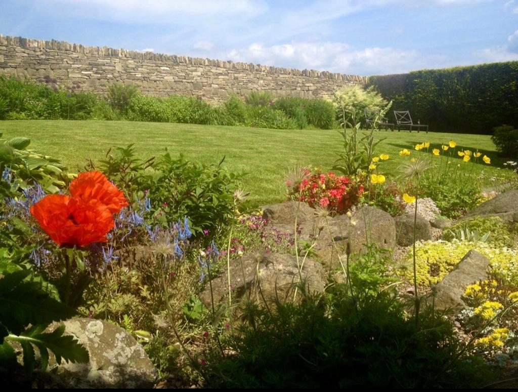 Garden (6)