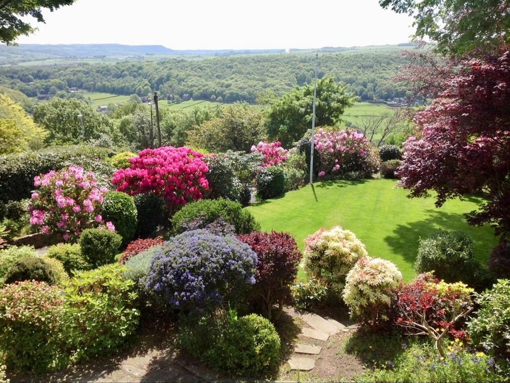 Garden(5)