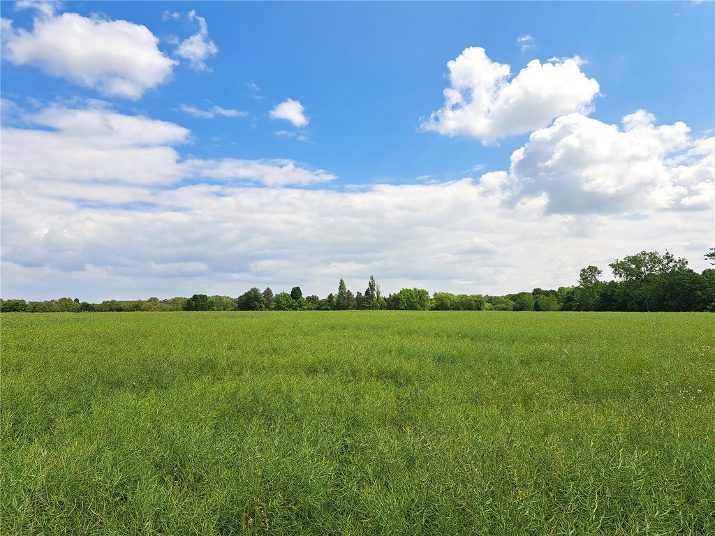 Land