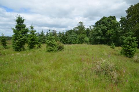 Woodland for sale, GLENLOCHAR DG7