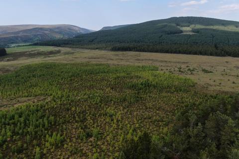 Woodland for sale, Glenkirk Wood, Tomatin IV13