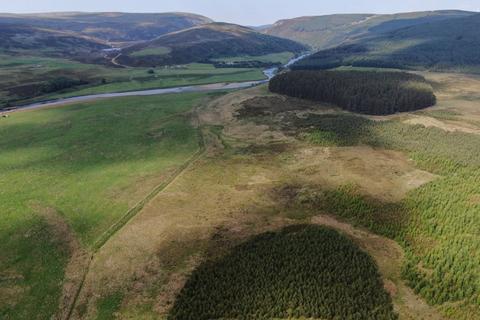 Woodland for sale, Glenkirk Wood, Tomatin IV13