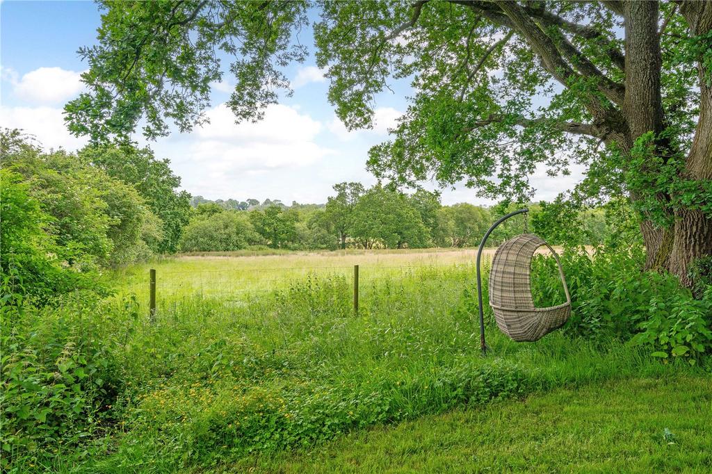 Field Views