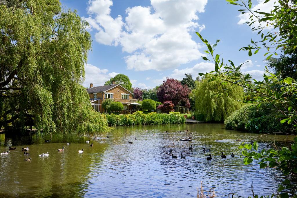 Main Pond