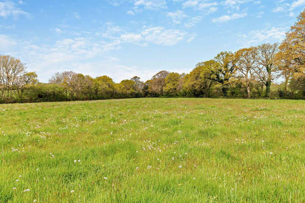 Grounds
