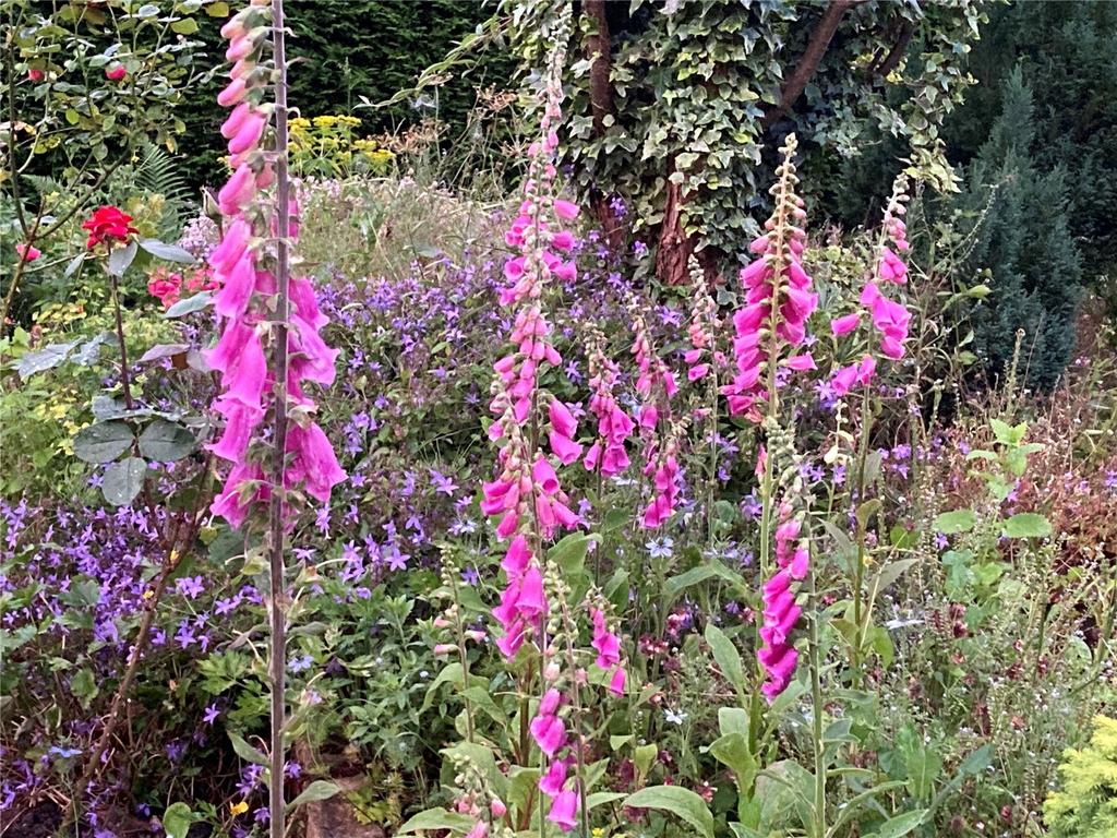 Gardens