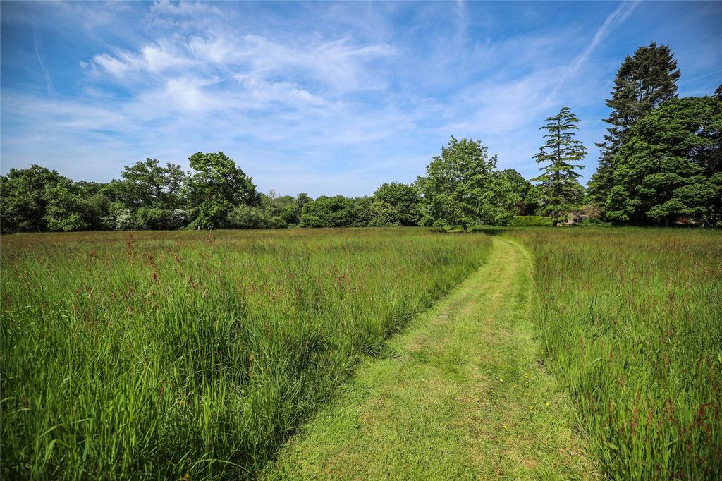 Field