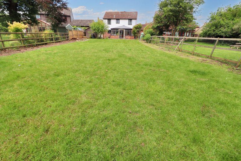 Avocet close