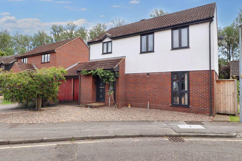 Avocet close